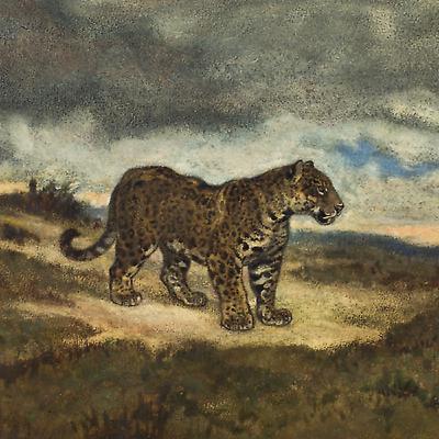 El Tigre de la Banda Oriental