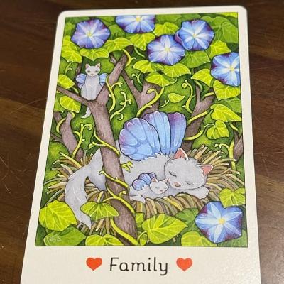 792【猫オラクルカード】2/16〜2/22のメッセージ『家族』