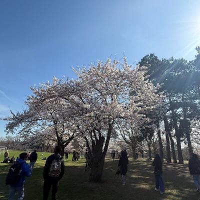 #12 令和ロマンの一件以降のお笑い地政学