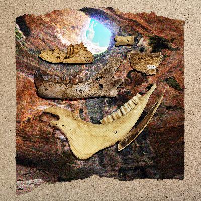 The Prehistoric Cave That Trapped and Entombed Animals for Millennia