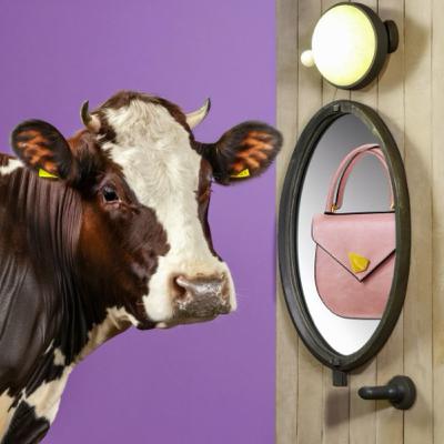 GKZ cortos - pesadilla en IA-street