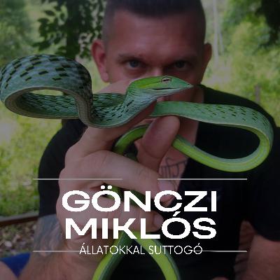 ,,Hiszek a sorsban, mindennek megvan az oka" - Interjú Gönczi Miklóssal, az állatokkal suttogóval ,,Hiszek a sorsban, mindennek megvan az oka" - Interjú Gönczi Miklóssal, az állatokkal suttogóval
