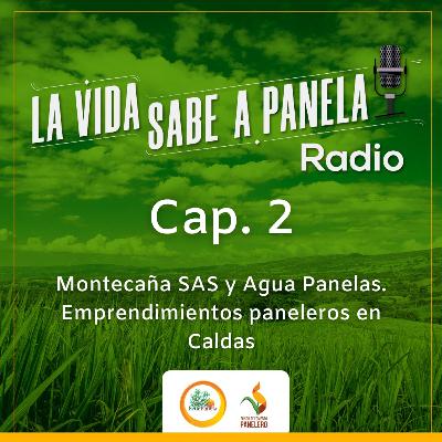 Capítulo 2 - Montecaña SAS y Agua Panelas. Emprendimientos paneleros en Caldas Capítulo 2 - Montecaña SAS y Agua Panelas. Emprendimientos paneleros en Caldas
