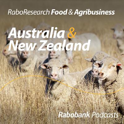 Australian sheep markets breaking records