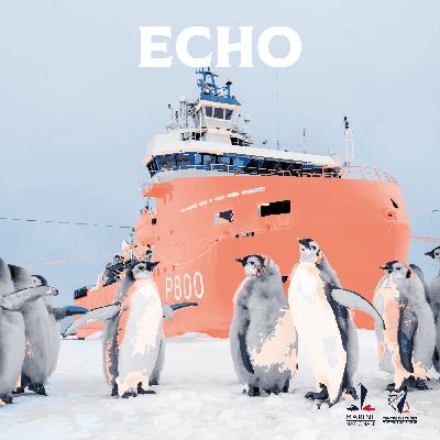 Echo - Episode 83 : Les Terres Australes et Antarctiques Françaises : missions et acteurs de la zone