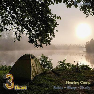 🔴☀️ 🦗 Morning Camp: 3 HOURS of Serene Sounds of Nature for a Refreshing Start to Your Day or Help You Sleep Fast!