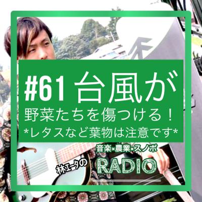 #61 台風が野菜たちを傷つける! #61 台風が野菜たちを傷つける!