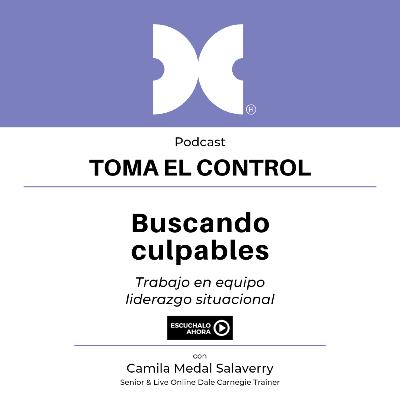 Buscando culpables