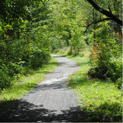 Guided Healing Meditation