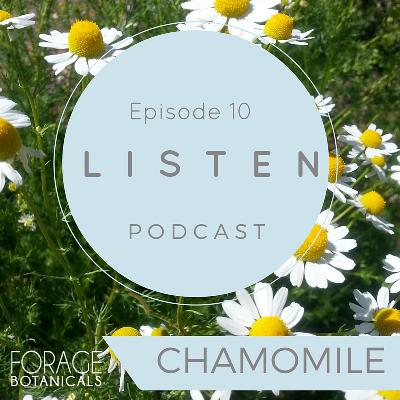 E10 Chamomile