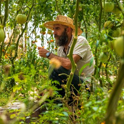 Tomates, homeopatía y el valor de lo local Tomates, homeopatía y el valor de lo local