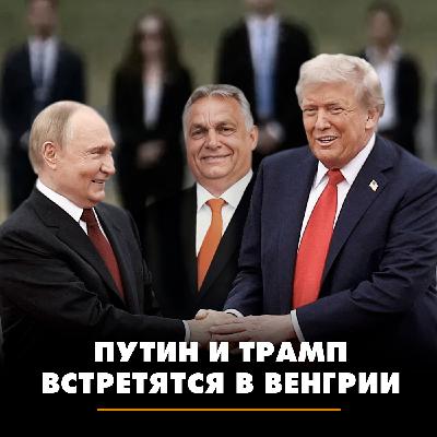 Как пройдёт предпоследняя встреча Путина и Трампа в Венгрии