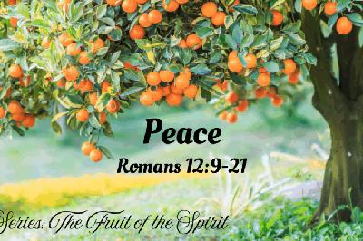 Peace