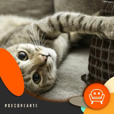 Decor e Arte - Casa gatificada