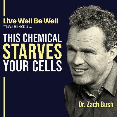 Dr. Zach Bush on Glyphosate, the Microbiome & What Modern Medicine Gets Wrong