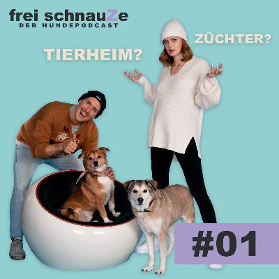 Die Senfhund-Theorie