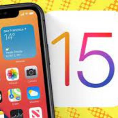 Homes toxics-free, with Peter Bachmann