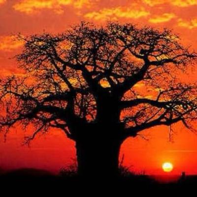 A Kwanzaa Story