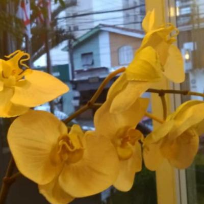 Conversa sobre crenças e autossabotagem