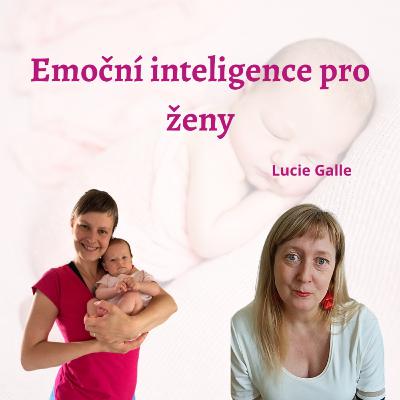 Emoční inteligence pro ženy Emoční inteligence pro ženy