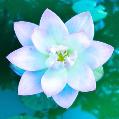 Verschiedene Affirmationen mit Schwerpunkt: Ich bin gut.