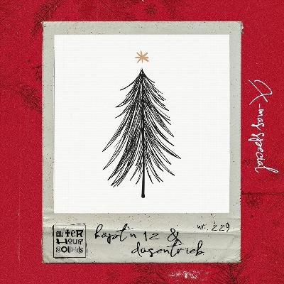 Käpt'n 12 & Düsentrieb present Afterhour Sounds Podcast Nr. 229 - Xmas Special Käpt'n 12 & Düsentrieb present Afterhour Sounds Podcast Nr. 229 - Xmas Special