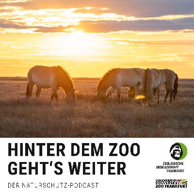 Gute Geschichten, starke Wirkung: Unsere Highlights 2025 Gute Geschichten, starke Wirkung: Unsere Highlights 2025