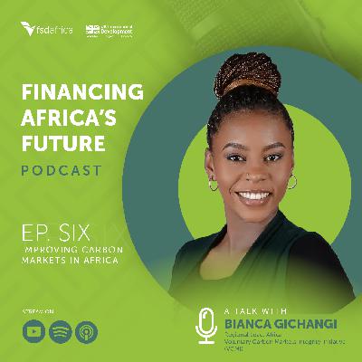 Improving carbon markets in Africa