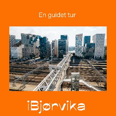 Guida tur langs Bjørvikas broer