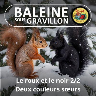S07E98 Le roux et le noir 2/2 : Ces écureuils roux qui virent au noir en montagne