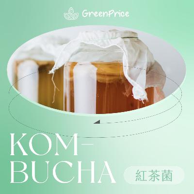 【撐起健康】可以喝的細菌 - 紅茶菌！