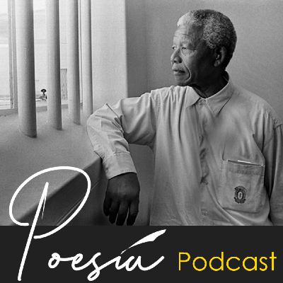 Ep30 | Poema y cine, la combinación perfecta