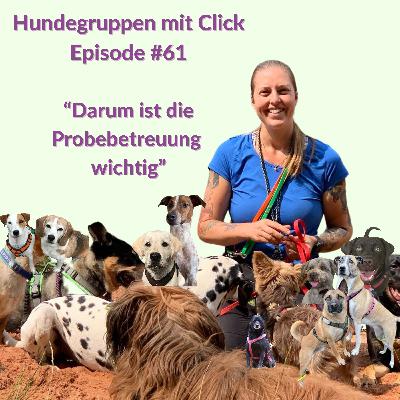 Darum ist die Probebetreuung wichtig Darum ist die Probebetreuung wichtig