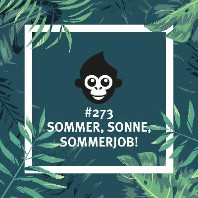 #273 Sommer, Sonne, Sommerjob!