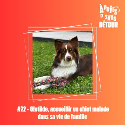 Ep 22 - Clotilde, accueillir un chiot malade dans sa vie de famille