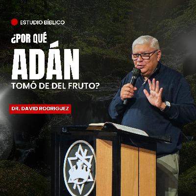 ¿Por qué Adán tomó del fruto?
