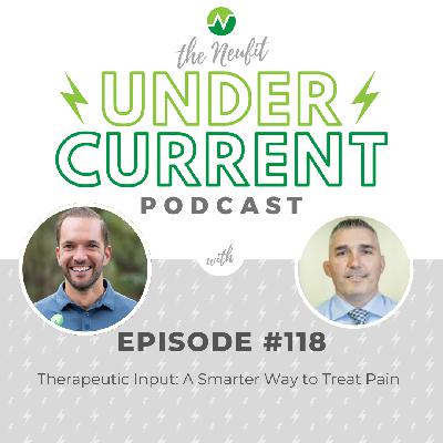 Ep 118: Therapeutic Input: A Smarter Way to Treat Pain