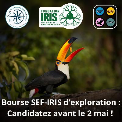 Vous avez un projet d'exploration ? Candidatez à la bourse SEF IRIS avant le 2 mai ! !