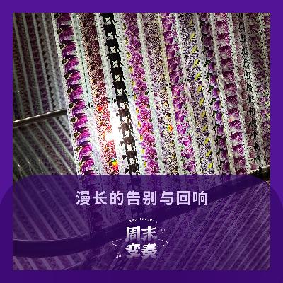 漫长的告别与回响
