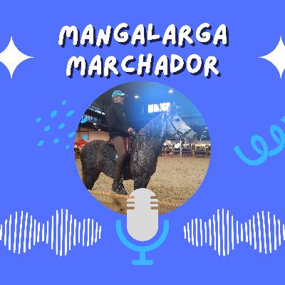 9. Culture équestre - Le cheval national du Brésil - A la découverte du Mangalarga Marchador 9. Culture équestre - Le cheval national du Brésil - A la découverte du Mangalarga Marchador
