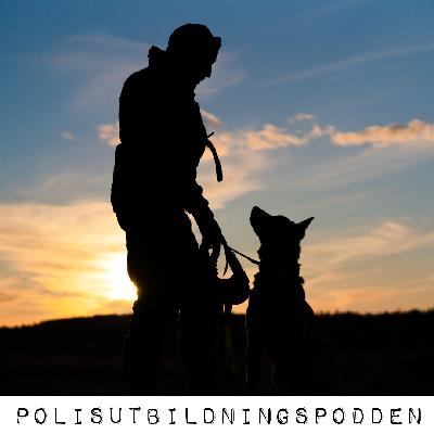 41. Hundförare