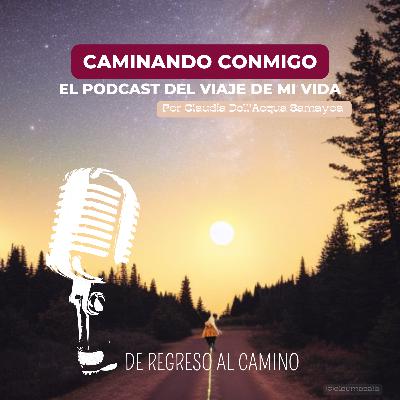 De regreso al Camino, lecciones de un año ausente De regreso al Camino, lecciones de un año ausente