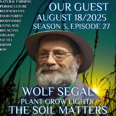Wolf Segal Lighting Specialist