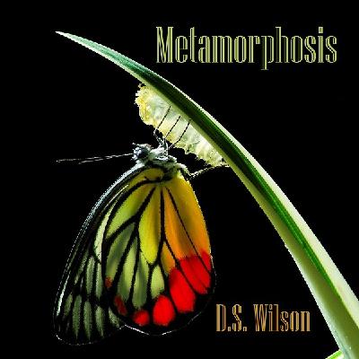 Cloud Jazz 2811 | D.S. Wilson - Episodio exclusivo para mecenas