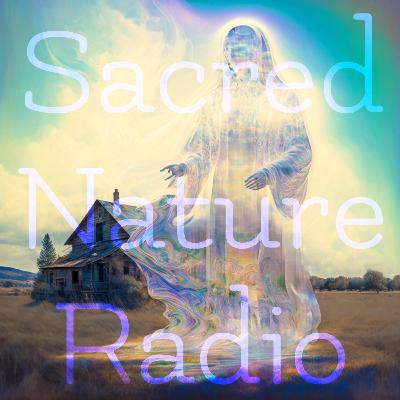 14 - Discussion on The Lord's Prayer, Hermeticism, Christianity, and the Universality of Transcendental Truth 14 - Discussion on The Lord's Prayer, Hermeticism, Christianity, and the Universality of Transcendental Truth