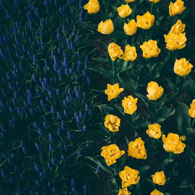 430: Undividing Ourselves