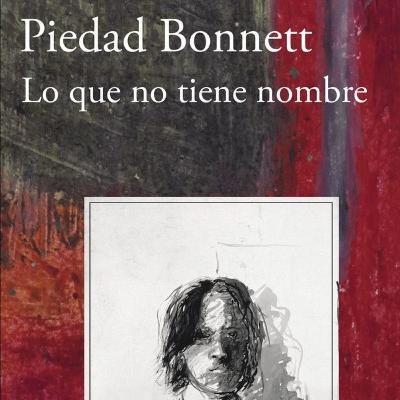 Audiolibro Lo que no tiene nombre - Piedad Bonnet - Episodio 12