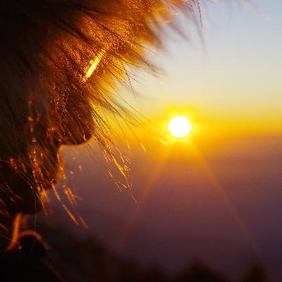 最懂旅行的中式英语节目|Go domestic travel before spring ends！