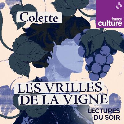 "Les Vrilles de la vigne" de Colette 1/5 : Les Vrilles de la vigne, Nuit blanche et Le dernier feu "Les Vrilles de la vigne" de Colette 1/5 : Les Vrilles de la vigne, Nuit blanche et Le dernier feu