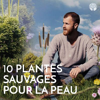10 plantes sauvages pour soulager les problèmes de peau